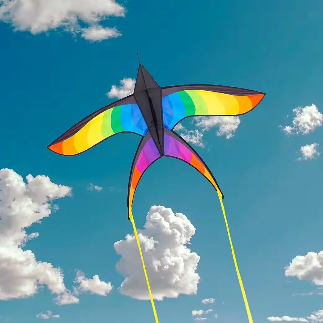 HQ Swallow Kite Rainbow Einleiner Kinderdrachen ab 8 Jahren