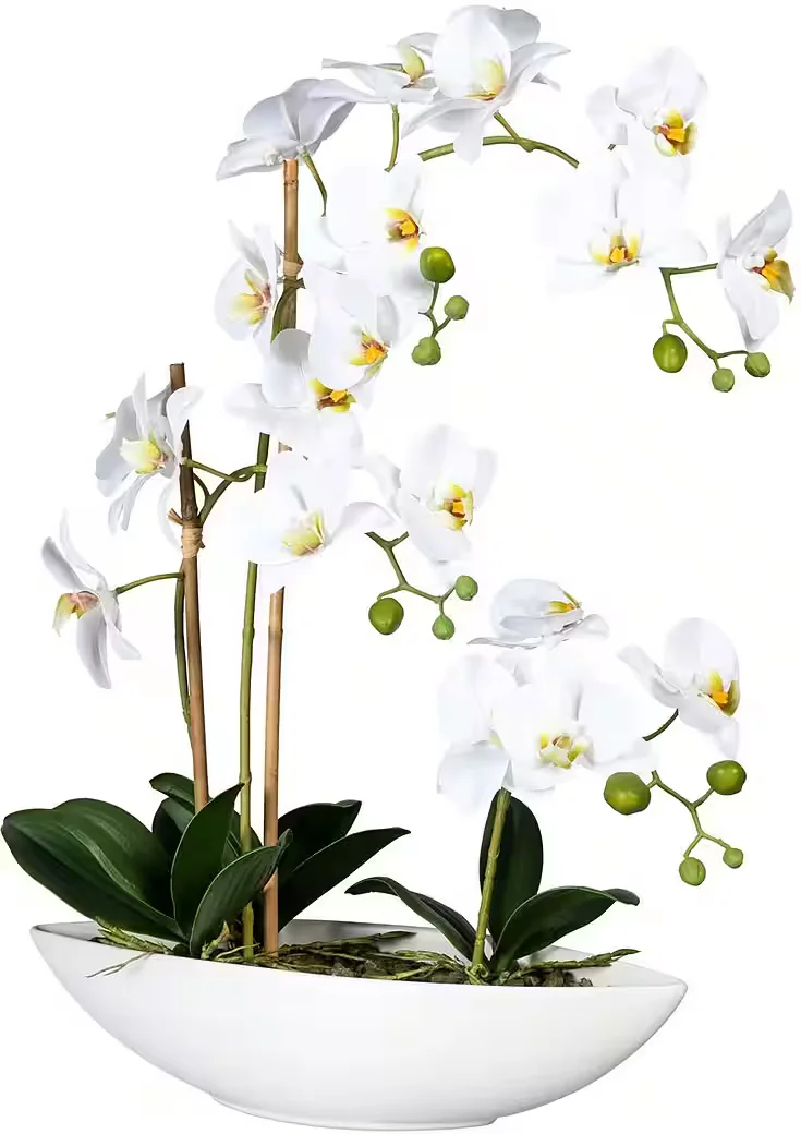 CREATIV GREEN Kunstorchidee Phalaenopsis künstliche Deko Pflanze